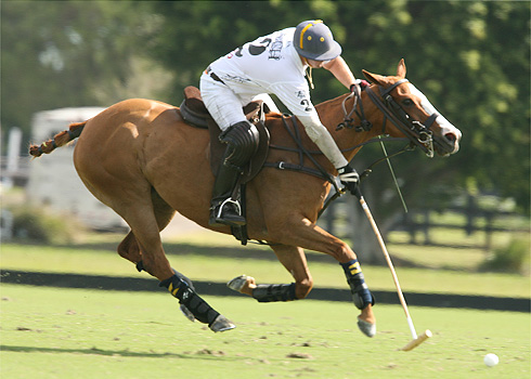 POLO Magazine.com Polo Alex Pacheco Polo Photography 3