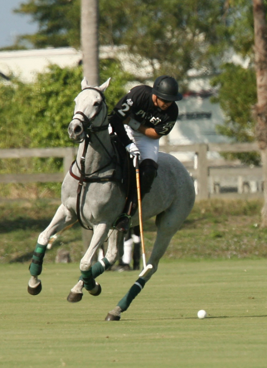 Joe Barry Memorial Polo Cup photos-1-20-13 Piaget vs. Lucchese