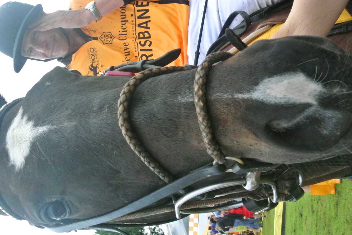DSC 6804