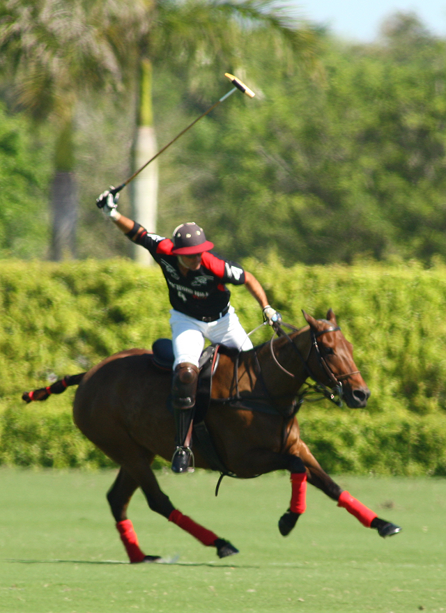 photos-gold-cup-audi-7-orchard-hill-5 3 polomagazine.jpg