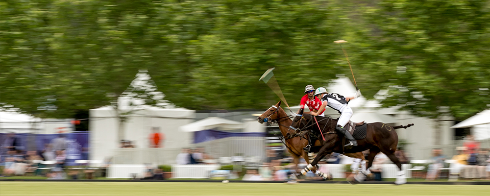 New Zealand vs Chile  9 – 2 WPC