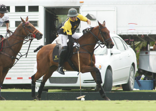 US Open photos-Faraway vs. Lechuza-4-11-13
