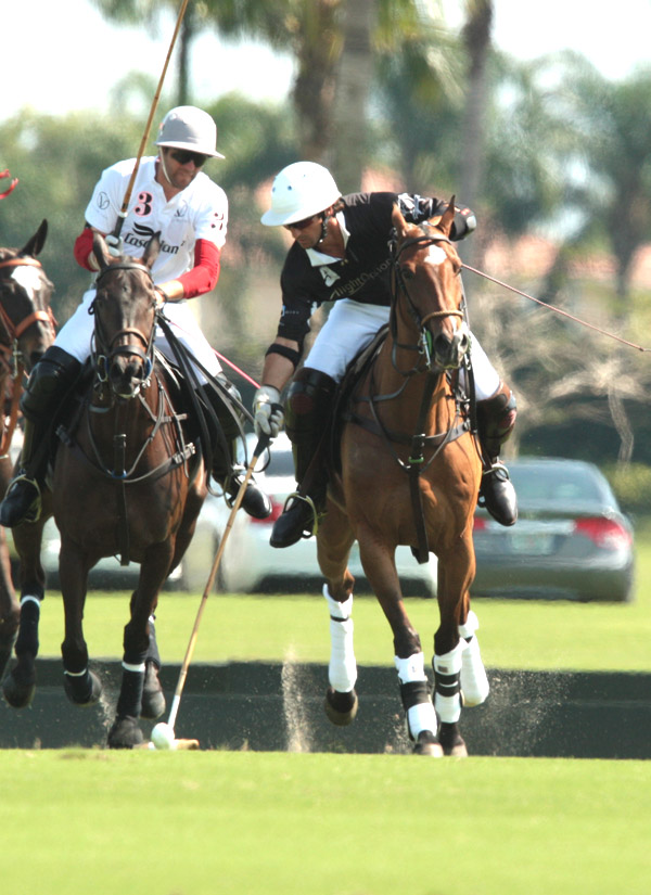 photospolomagazinevilladellagoflightoptions 1