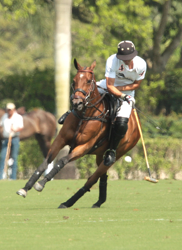 photospolomagazinevilladellagoflightoptions 5